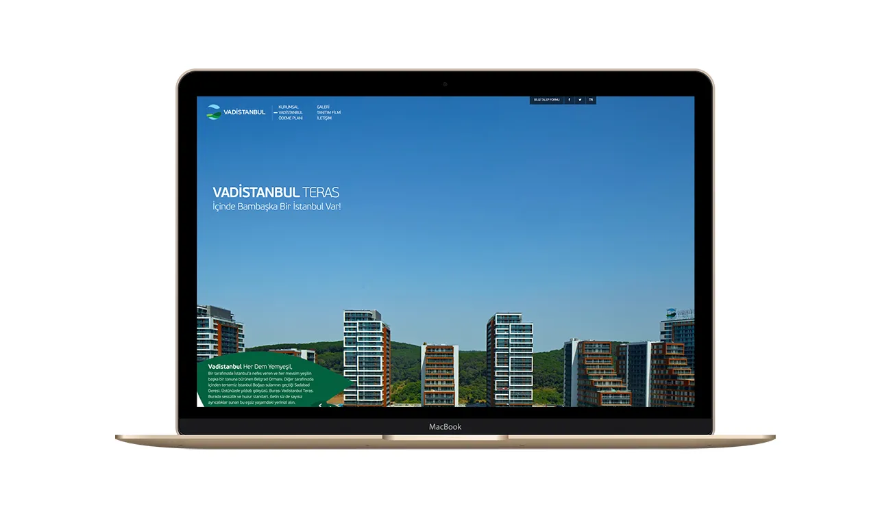 Projektansicht auf der Vadistanbul Website